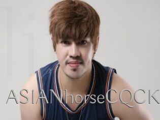 ASIANhorseCQCK