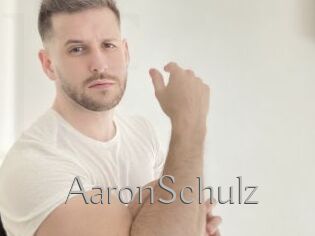 AaronSchulz