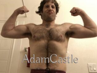AdamCastle