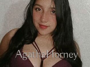 AgathaHorney
