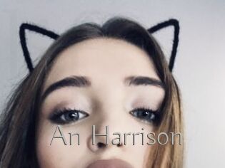 An_Harrison