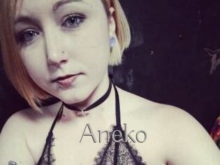 Aneko