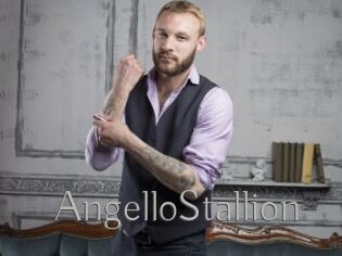 AngelloStallion