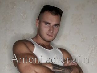 Antoni_adrenal1n