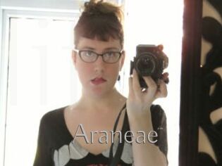 Araneae