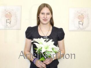 ArielNorthon