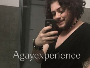 Agayexperience