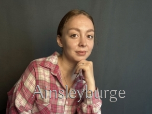 Ainsleyburge