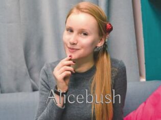 Alicebush