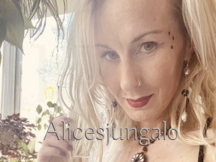 Alicesjungalo