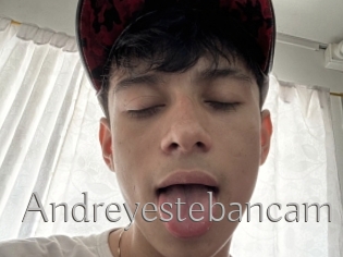 Andreyestebancam