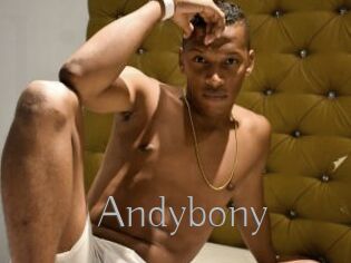 Andybony