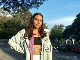 Aniefelix