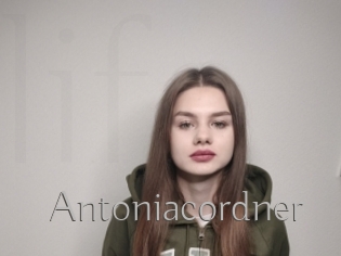 Antoniacordner