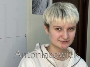 Antoniacowick