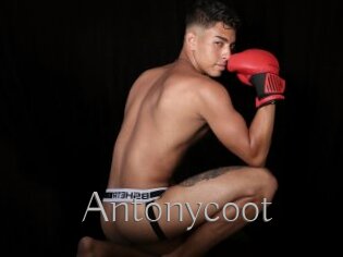 Antonycoot