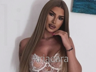 Ariacara