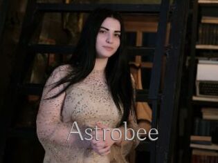 Astrobee