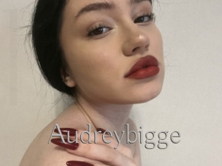 Audreybigge
