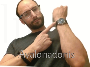 Avalonadonis