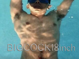 BIGCOCK18inch