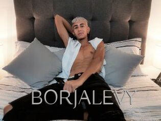 BORJALEVY