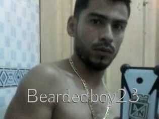 Beardedboy23