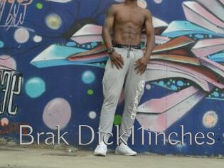 Brak_Dick11inches