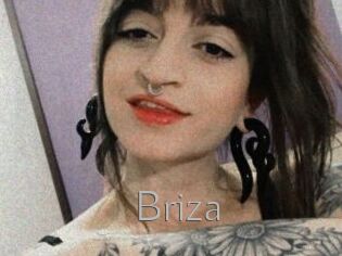Briza