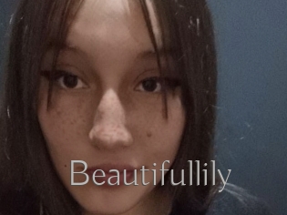 Beautifullily