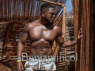 benjamincol Live Fick