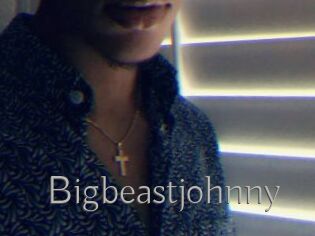 Bigbeastjohnny