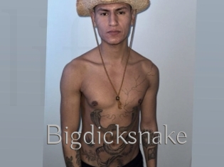 Bigdicksnake