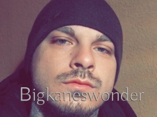 Bigkaneswonder