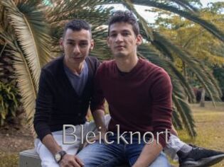 Bleicknort