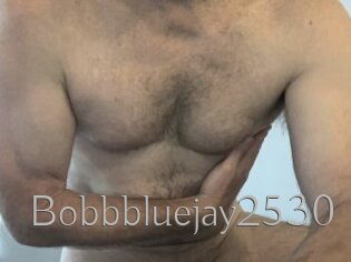 Bobbbluejay2530
