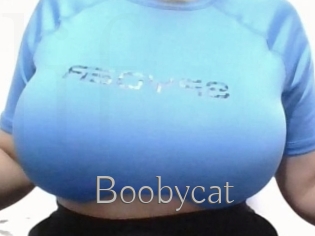 Boobycat