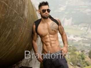 Brandonnt