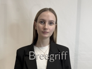 Breegriff