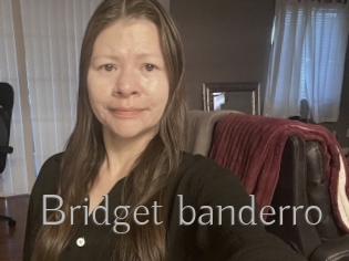 Bridget_banderro