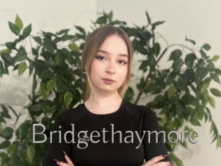 Bridgethaymore