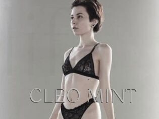 CLEO_MINT