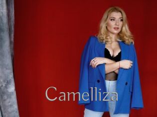 Camelliza