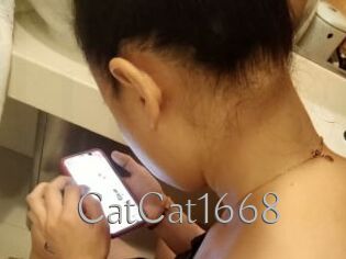 CatCat1668