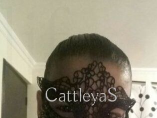 Cattleya_S