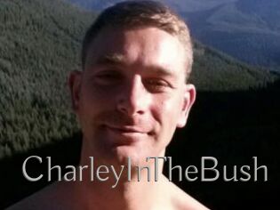 CharleyInTheBush