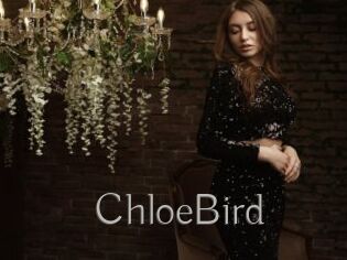 ChloeBird