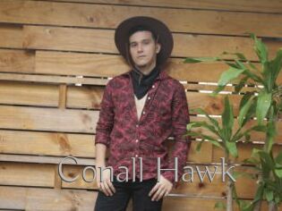 Conall_Hawk