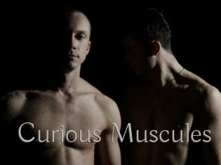 Curious_Muscules