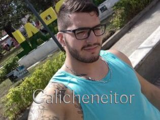 Calicheneitor